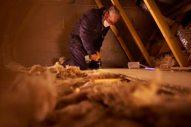 Best Insulation Maintenance and Repair in Brentwood, CA